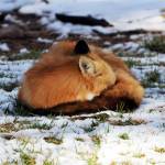 Cute ideas for your husband for christmas