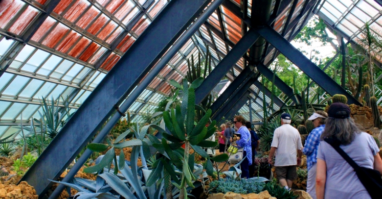 National Botanical Garden of Cuba