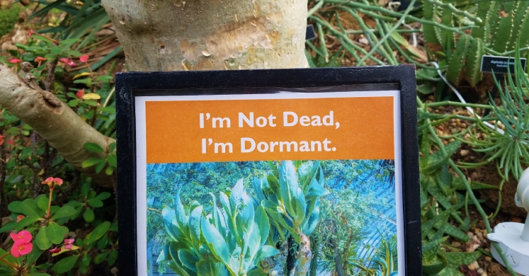 #bioPGH Blog: Dormant in December #bioPGH Blog: Dormant in December