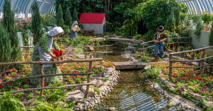 This Week at Phipps: June 3 – 9 This Week at Phipps: June 3 – 9