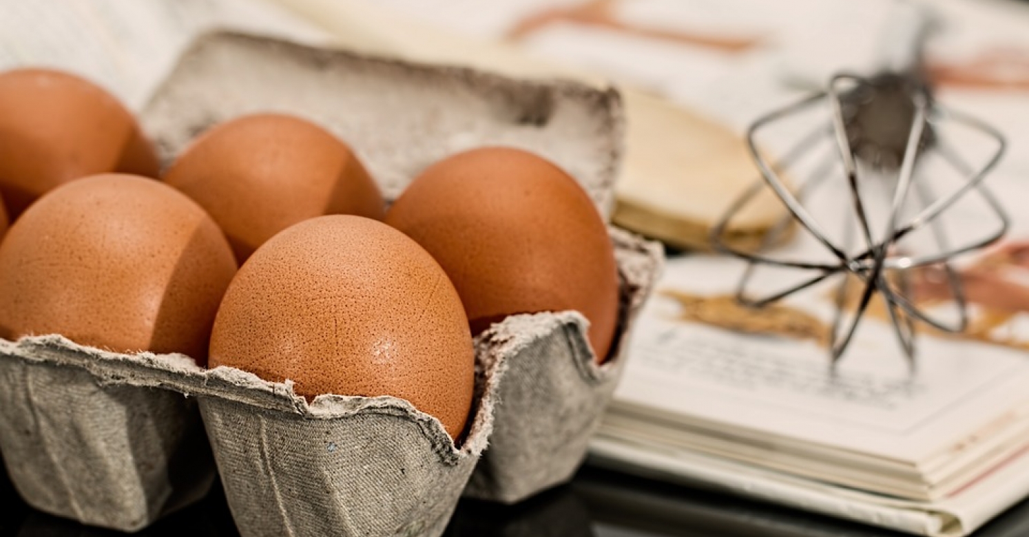 How to Buy Eggs: What Do the Labels on the Carton Mean ...