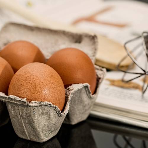 How to Buy Eggs: What Do the Labels on the Carton Mean?