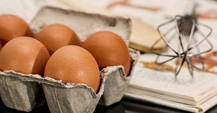 How to Buy Eggs: What Do the Labels on the Carton Mean?