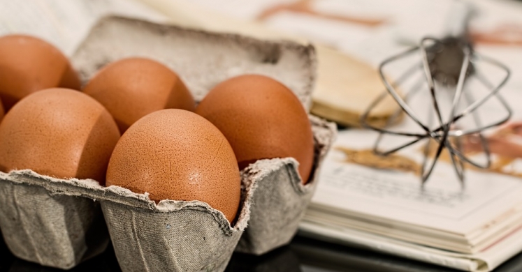 How to Buy Eggs: What Do the Labels on the Carton Mean? How to Buy Eggs: What Do the Labels on the Carton Mean?