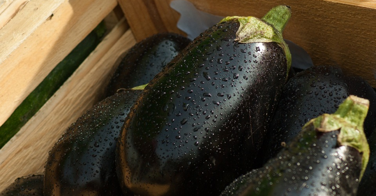 Eggplant Parmesan