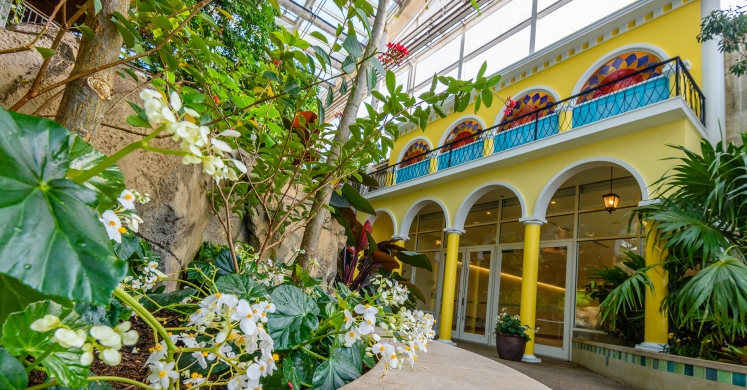 This Week at Phipps: April 9 – 15 This Week at Phipps: April 9 – 15