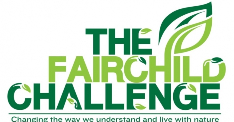 The Fairchild Challenge at Phipps: Challenge #2