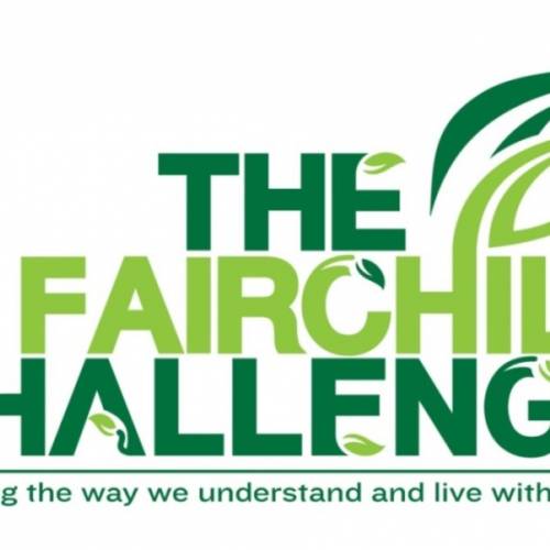 The Fairchild Challenge at Phipps: Challenge #4