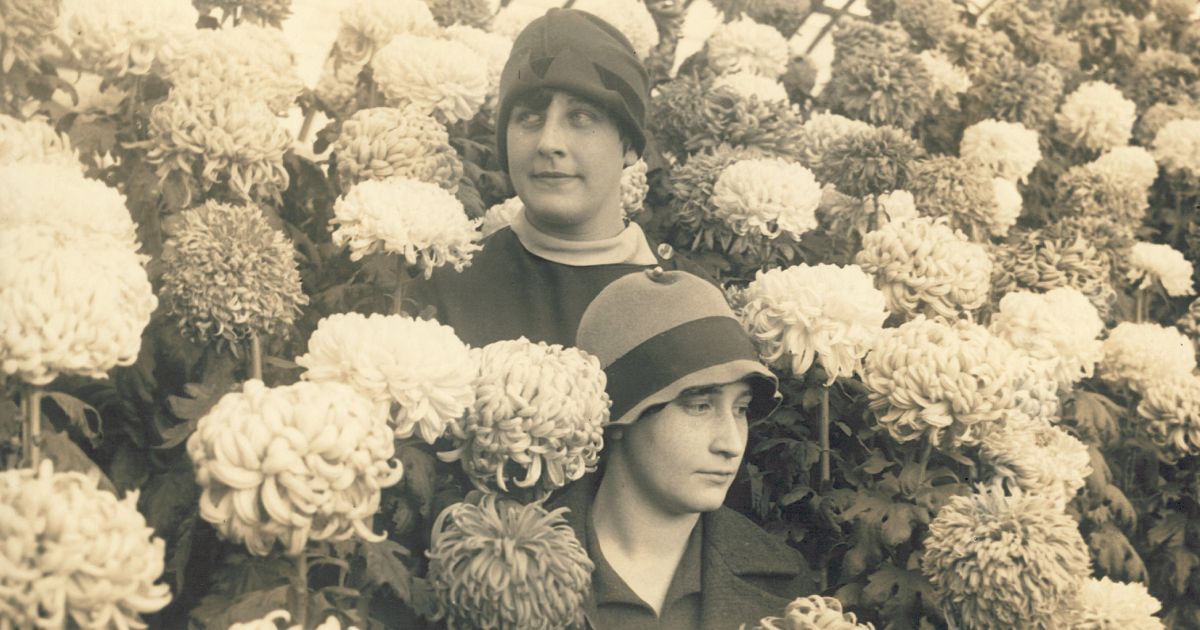 Making History: The 1897 Fall Flower Show | Phipps Conservatory