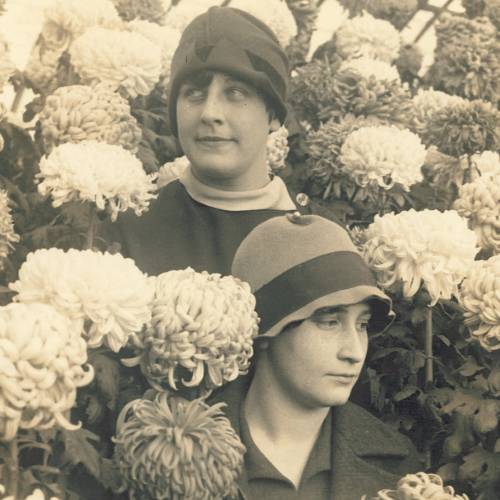 Making History: The 1897 Fall Flower Show