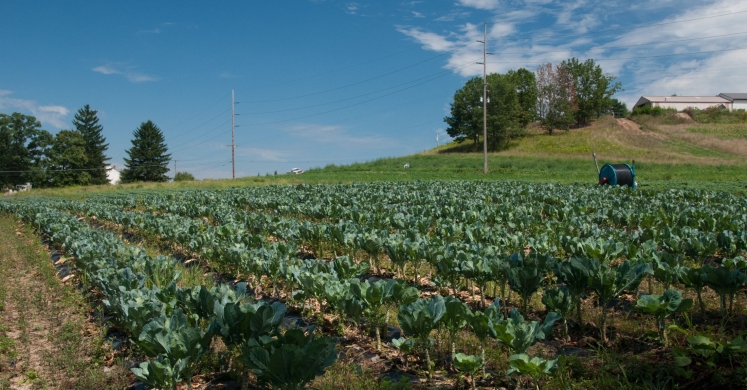 Policy Update: The Farm Bill Policy Update: The Farm Bill