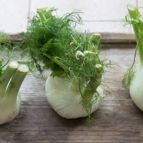 What We’re Cooking With Now: Fennel