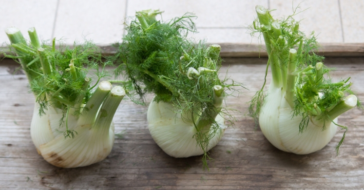 What We’re Cooking With Now: Fennel