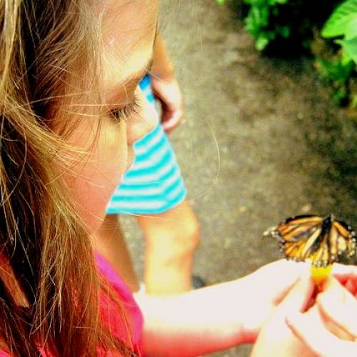 The Importance of Kindness: Teaching Empathy Through Interaction with Nature