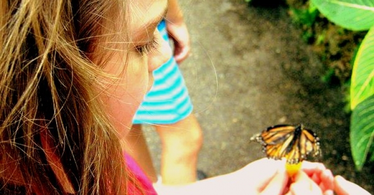 The Importance of Kindness: Teaching Empathy Through Interaction with Nature The Importance of Kindness: Teaching Empathy Through Interaction with Nature