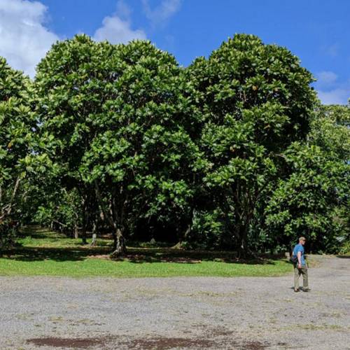 Learning Togetherness in Hana