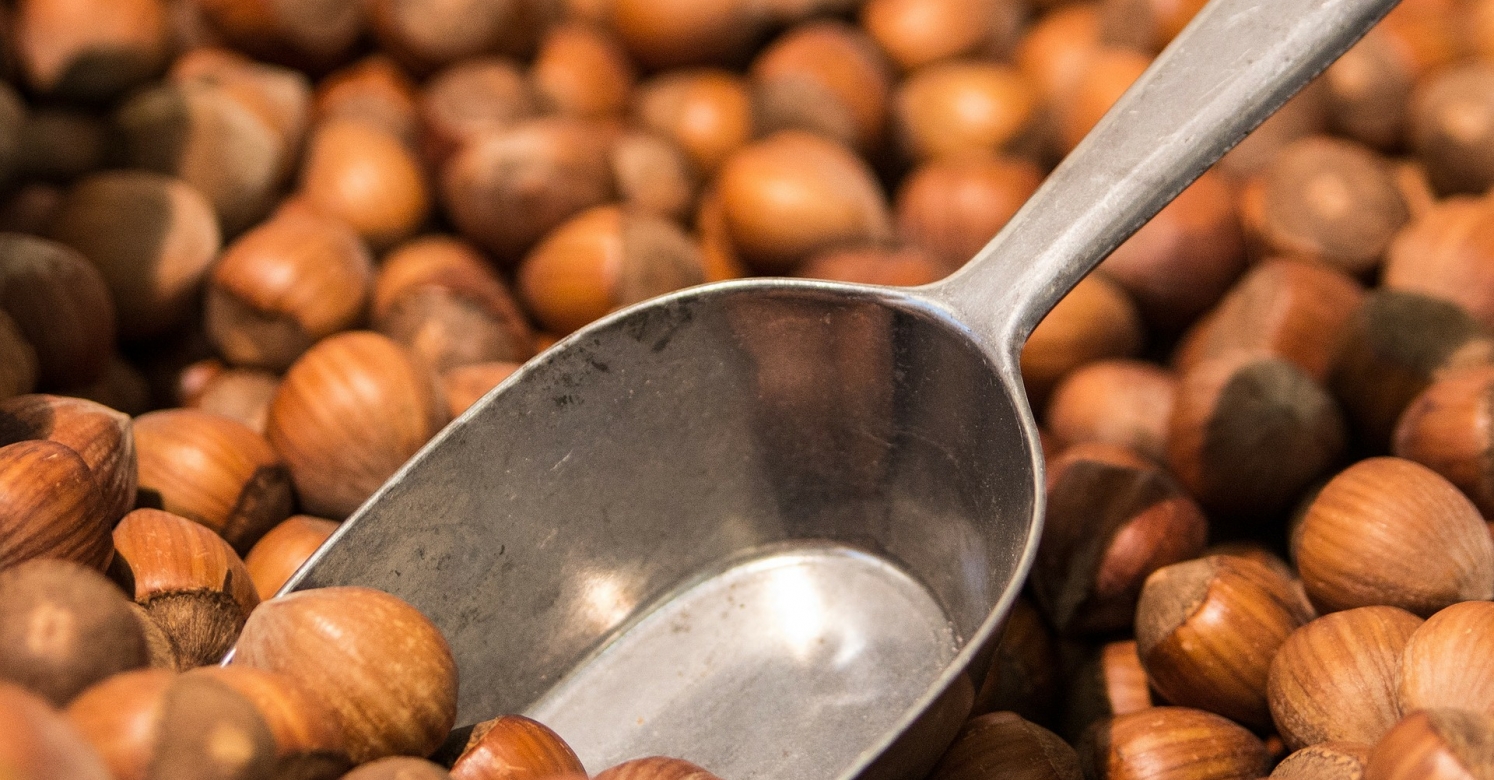 Food Allergies, Part 1 Overview and Definitions Phipps Conservatory