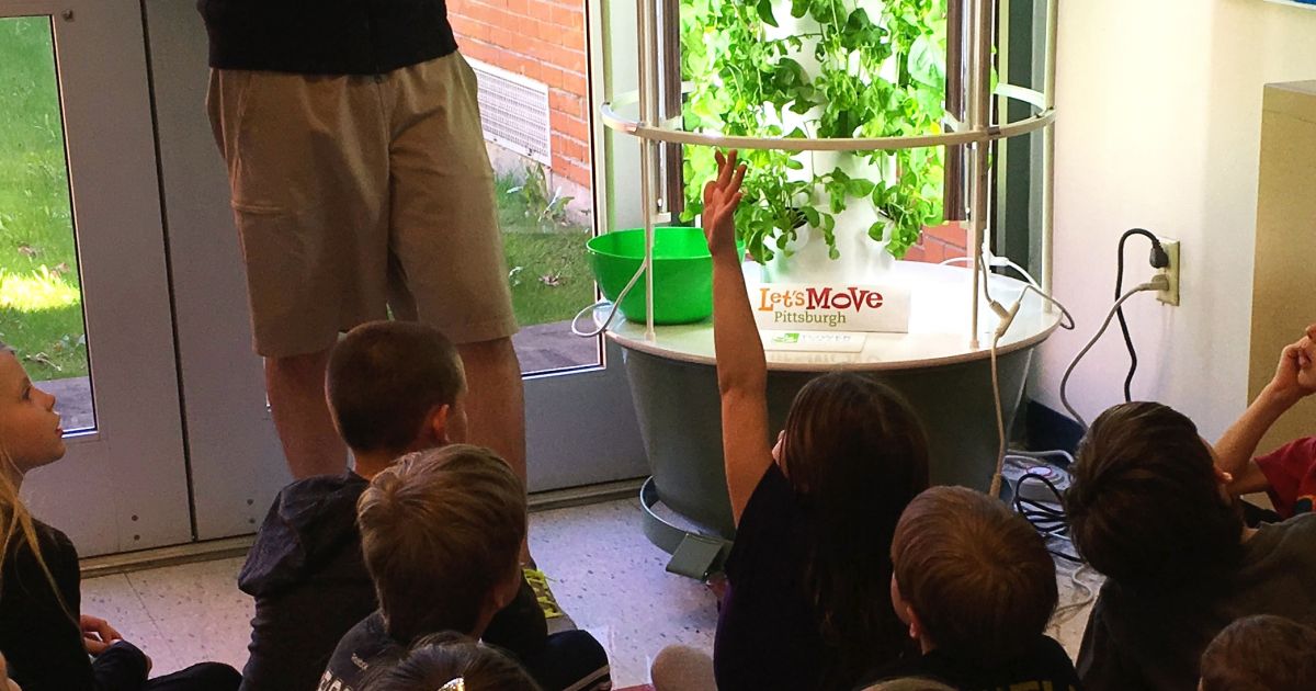 Health in Motion Curtisville Primary Educational Garden Phipps