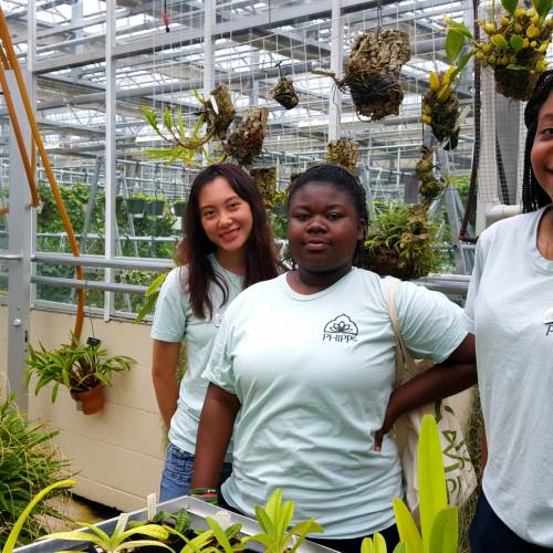 In with the Interns: Green Careers, Summer Camps and Homegrown