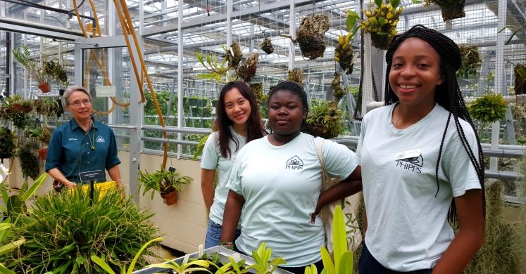 In with the Interns: Green Careers, Summer Camps and Homegrown