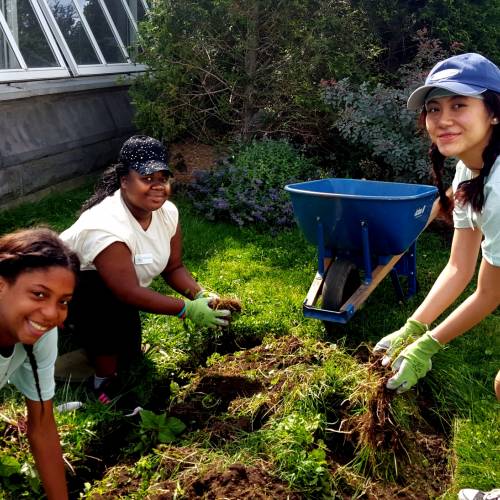 In with the Interns: Desert Plants, Air Quality and More