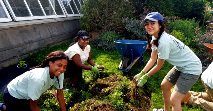 In with the Interns: Desert Plants, Air Quality and More