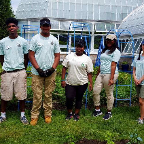 In with the Interns: Weeding, Planting, Cooking and More