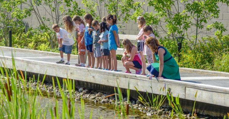 Phipps Is Hiring: Science Education Research Manager Phipps Is Hiring: Science Education Research Manager