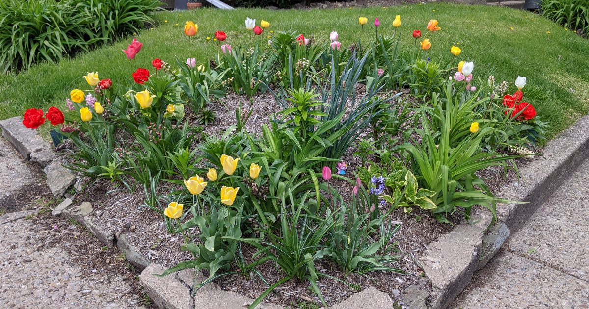 Spring In Pittsburgh The Scents of Spring | Phipps Conservatory and Botanical Gardens ...