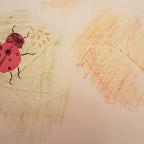 Ladybugs: Our Garden Helpers!