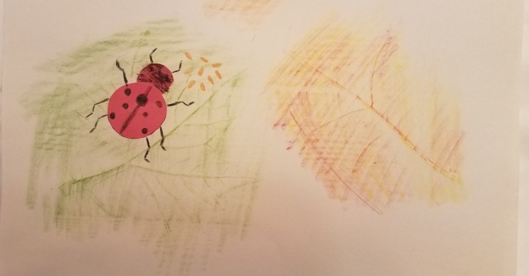 Ladybugs: Our Garden Helpers! Ladybugs: Our Garden Helpers!