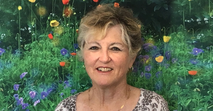 Volunteer Spotlight: Marjory Lenox Volunteer Spotlight: Marjory Lenox