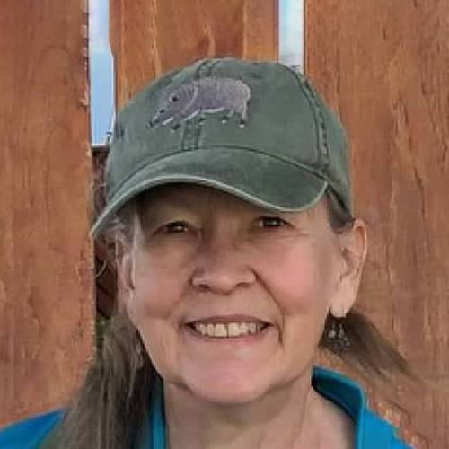 Volunteer Spotlight: Linda Liechty