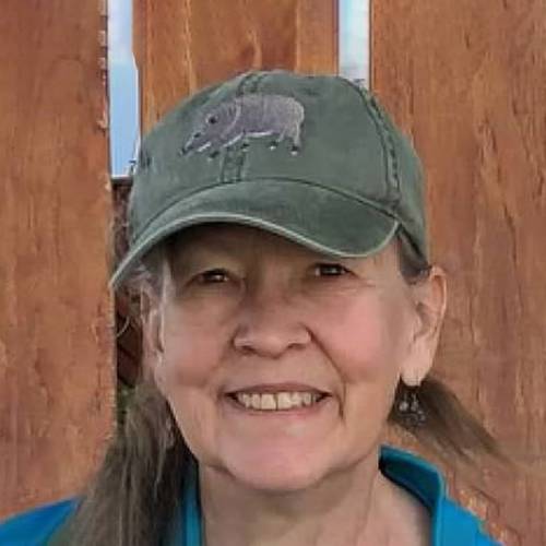 Volunteer Spotlight: Linda Liechty