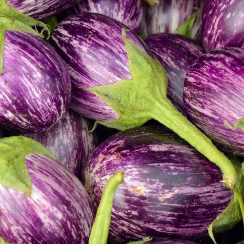 What We’re Cooking With Now: Eggplant