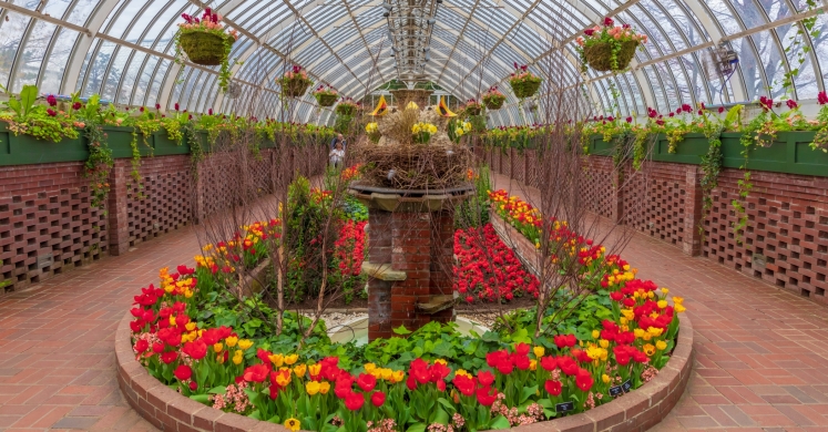 This Week at Phipps: April 1 – 7 This Week at Phipps: April 1 – 7