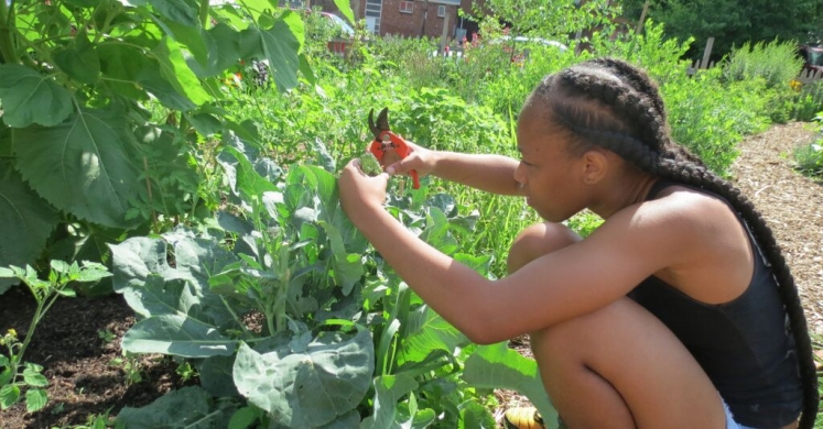 Health in Motion: In the Garden with Food City Fellows Northside