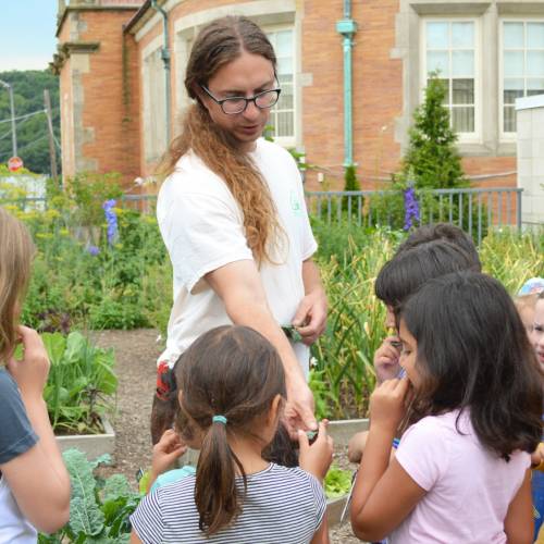 Summer Camp Recap: Kitchen Creations