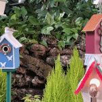 Winter Light Garden: Sneak Peek!