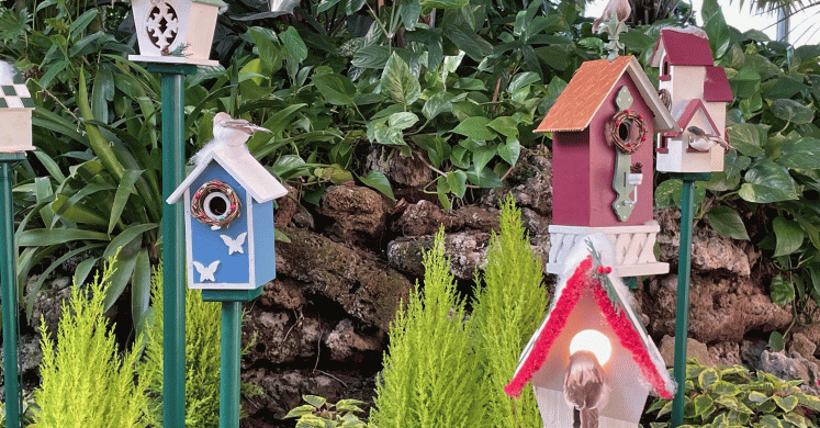 Winter Light Garden: Sneak Peek!