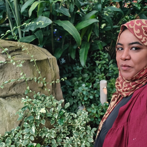 Phipps Welcomes Dr. Naima Fatehi