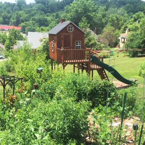 Small Gardens, Big Impact: Native Plant Play Garden