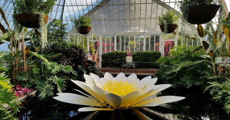 This Week at Phipps: May 15 – 21 This Week at Phipps: May 15 – 21