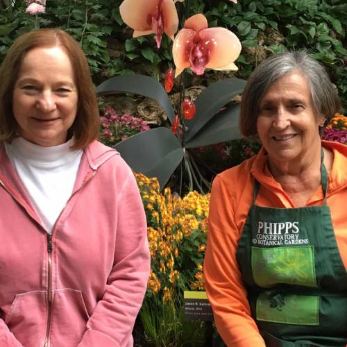 Volunteer Spotlight: Demetria Marsh and Nancy Kline, Orchid Society of Western Pennsylvania