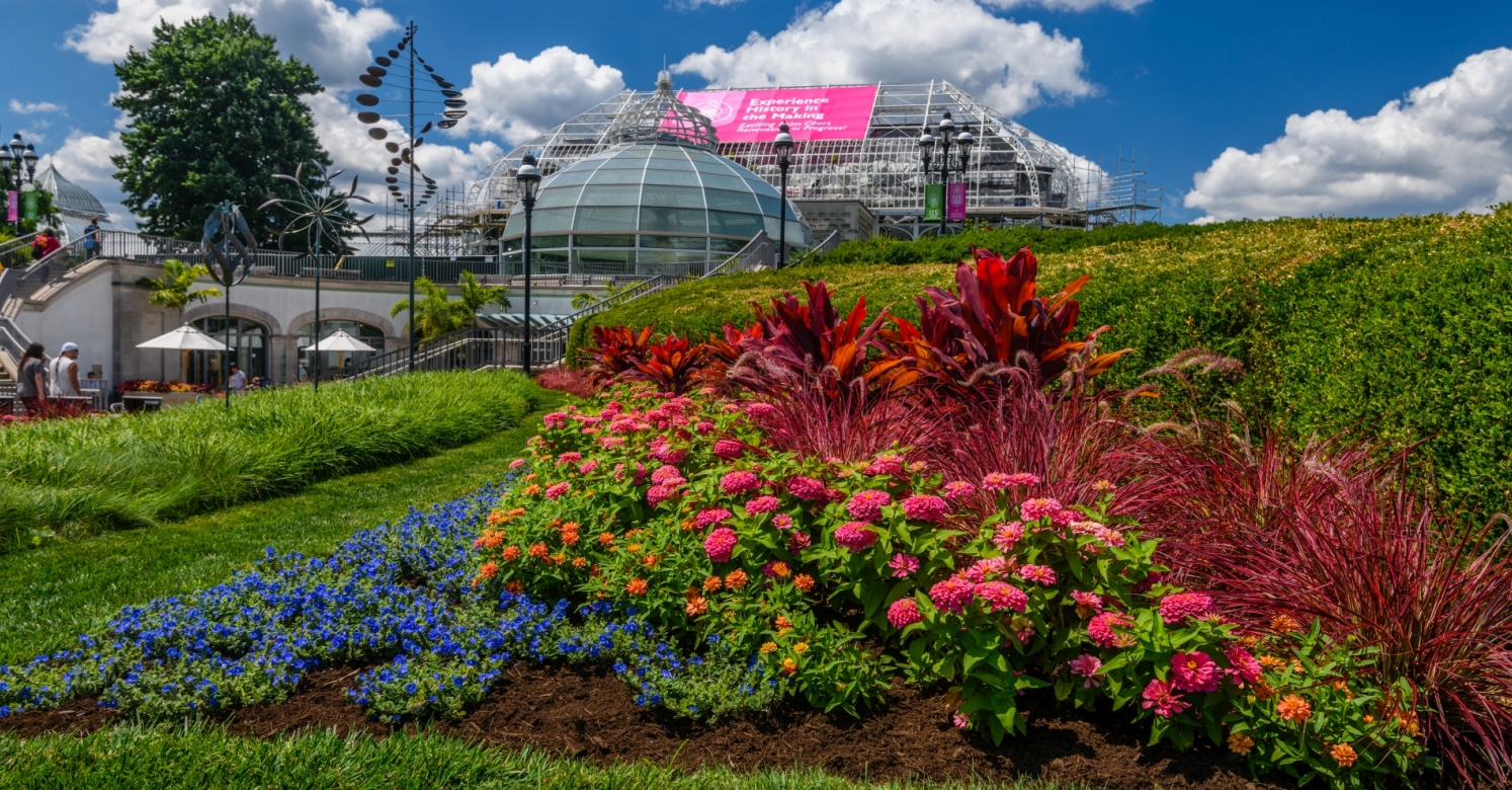 Making History: Behind the Scenes of Our Palm Court Restoration