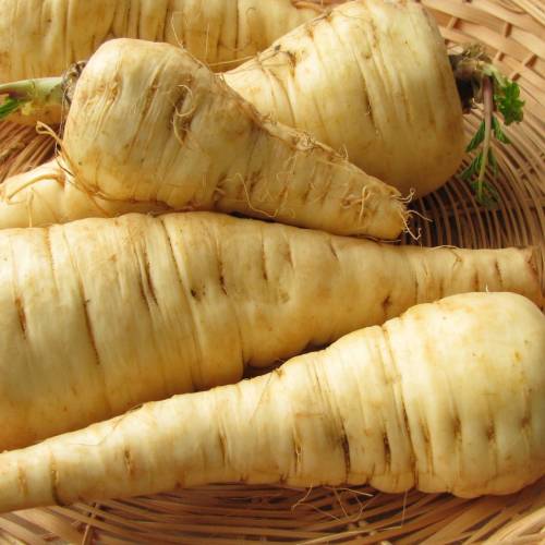 What We’re Cooking With Now: Parsnips