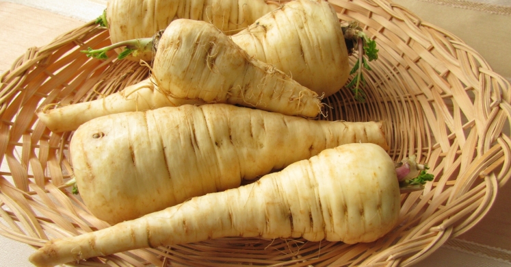 What We’re Cooking With Now: Parsnips What We’re Cooking With Now: Parsnips