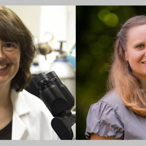 Meet a Scientist: Dr. Linda Peteanu and Vickie Bacon