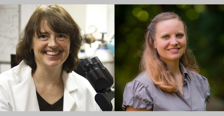 Meet a Scientist: Dr. Linda Peteanu and Vickie Bacon