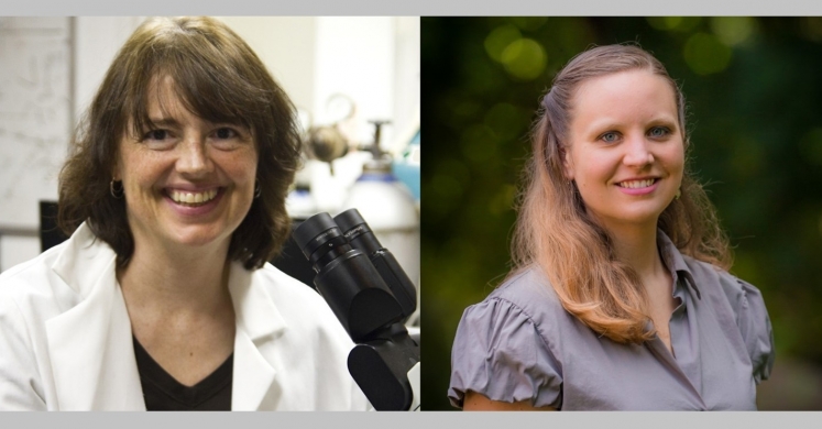 Meet a Scientist: Dr. Linda Peteanu and Vickie Bacon Meet a Scientist: Dr. Linda Peteanu and Vickie Bacon